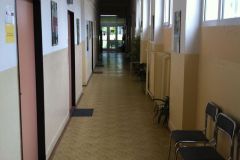 220101_488487767829985_1422131409_o